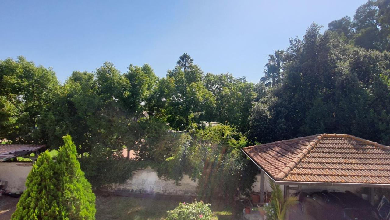 B&B Tenuta Di Vado Piano Nella Selva Di Circe Cerasella Zewnętrze zdjęcie